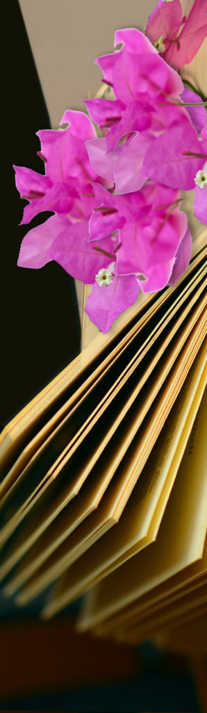 livre fleurs