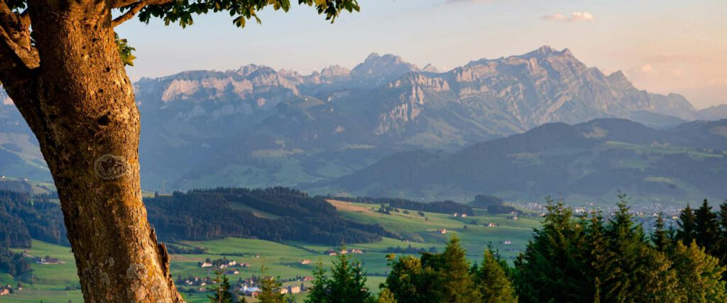 Vallée verdoyante et chaîne de montagnes à la lumière du soir